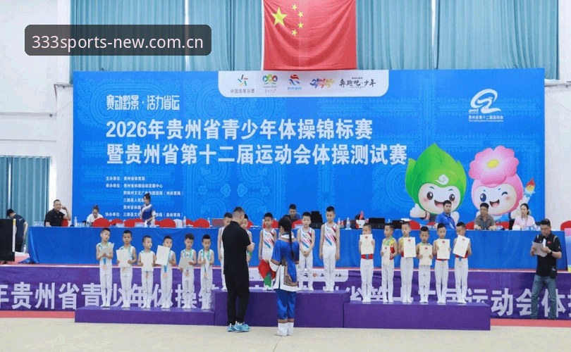 333体育平台登录地址技术全面解析：安全认证与2026新版实测深度分析